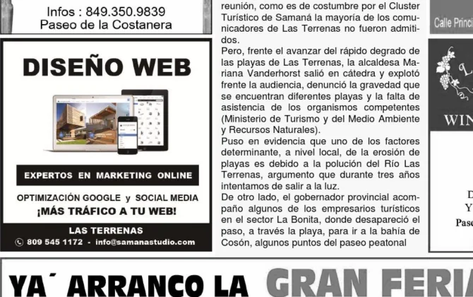 Diseño Web Las Terrenas