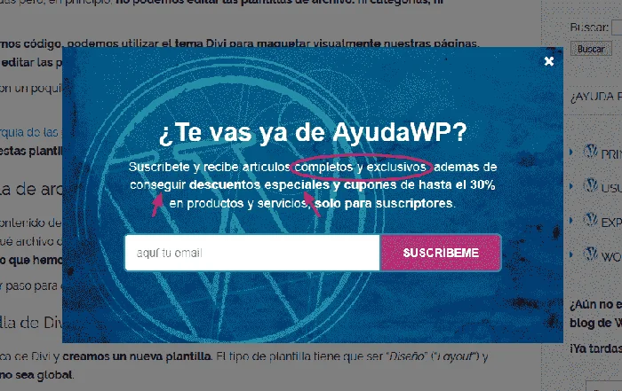 consejo-4